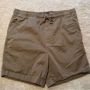American Eagle Outfitters Brown Flex Shorts